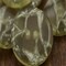 12 Pieces Clear with Silver Wiring Inside Small Buttons 15/16 Inch
